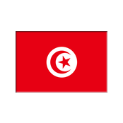 AMBASCIATA DELLA TUNISIA